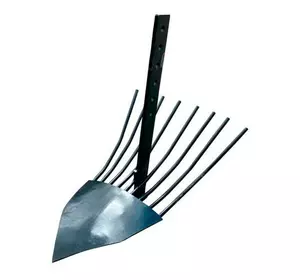 Картоплекопач віяловий Картоплекопач віяловий