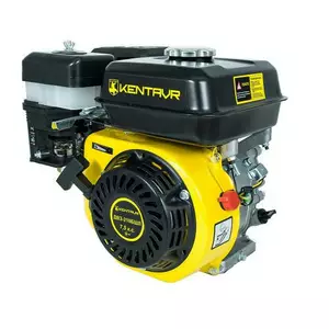 Двигуни бензинові Двигуни бензинові